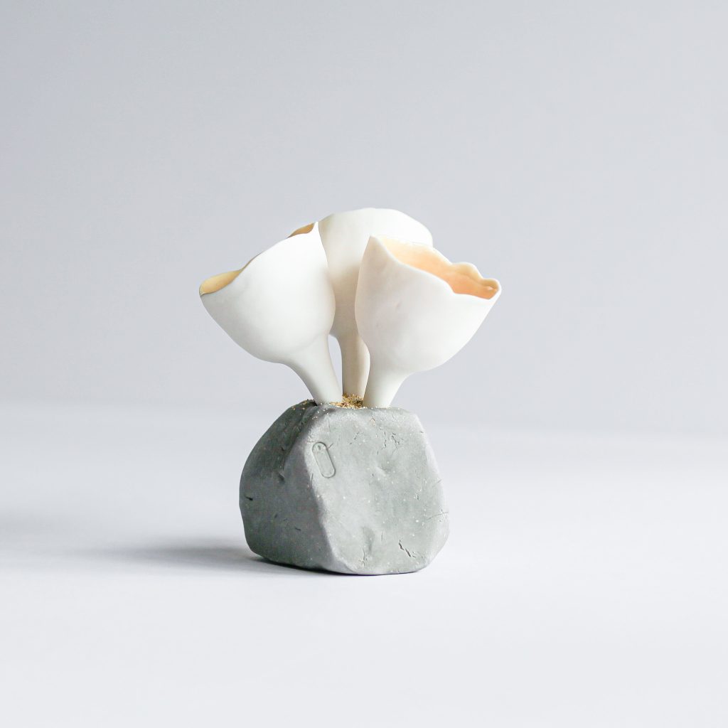 hardboiled egg crocus