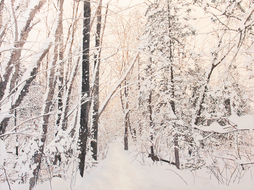 Sentier de neige #3 (Saint-Gilles, QC)