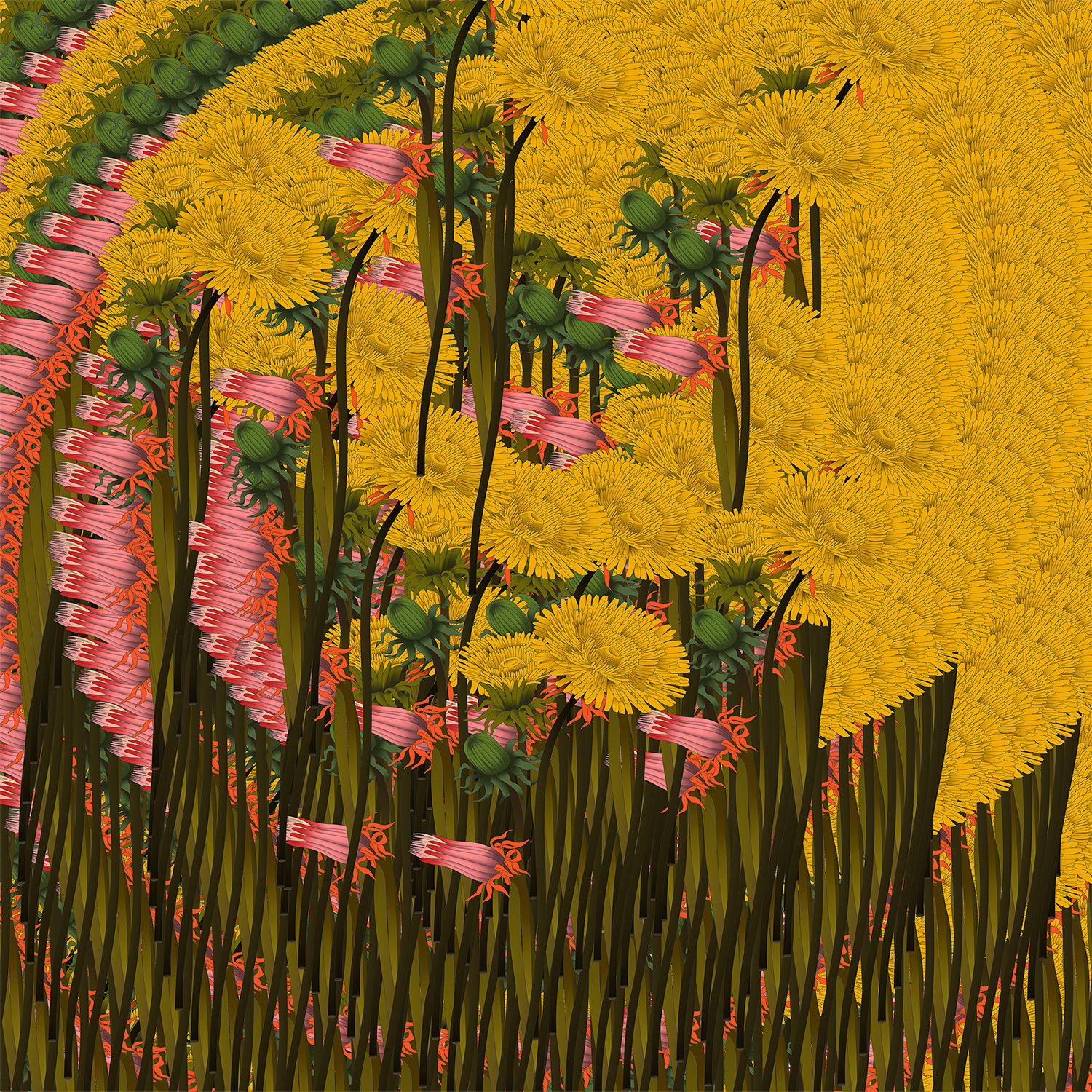 Camelopard - EDEN Series II