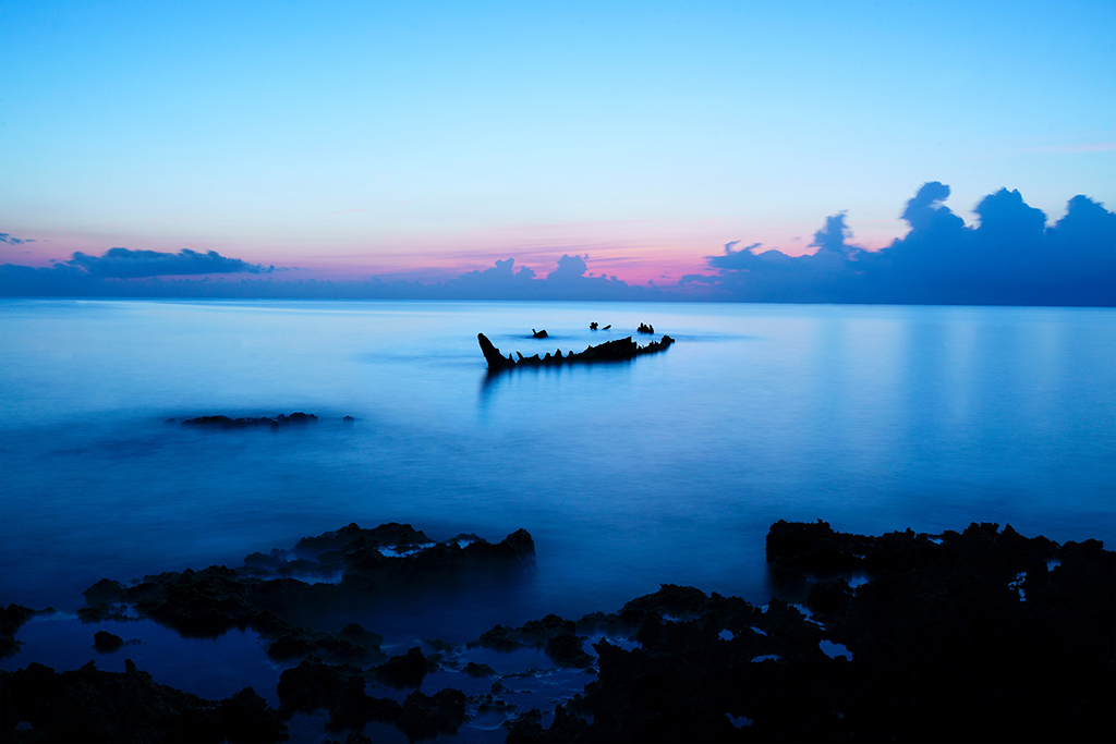 Mechanical Whale Wreck