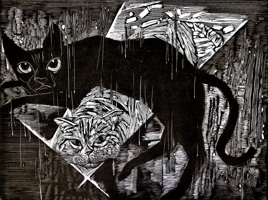 Black and white cats