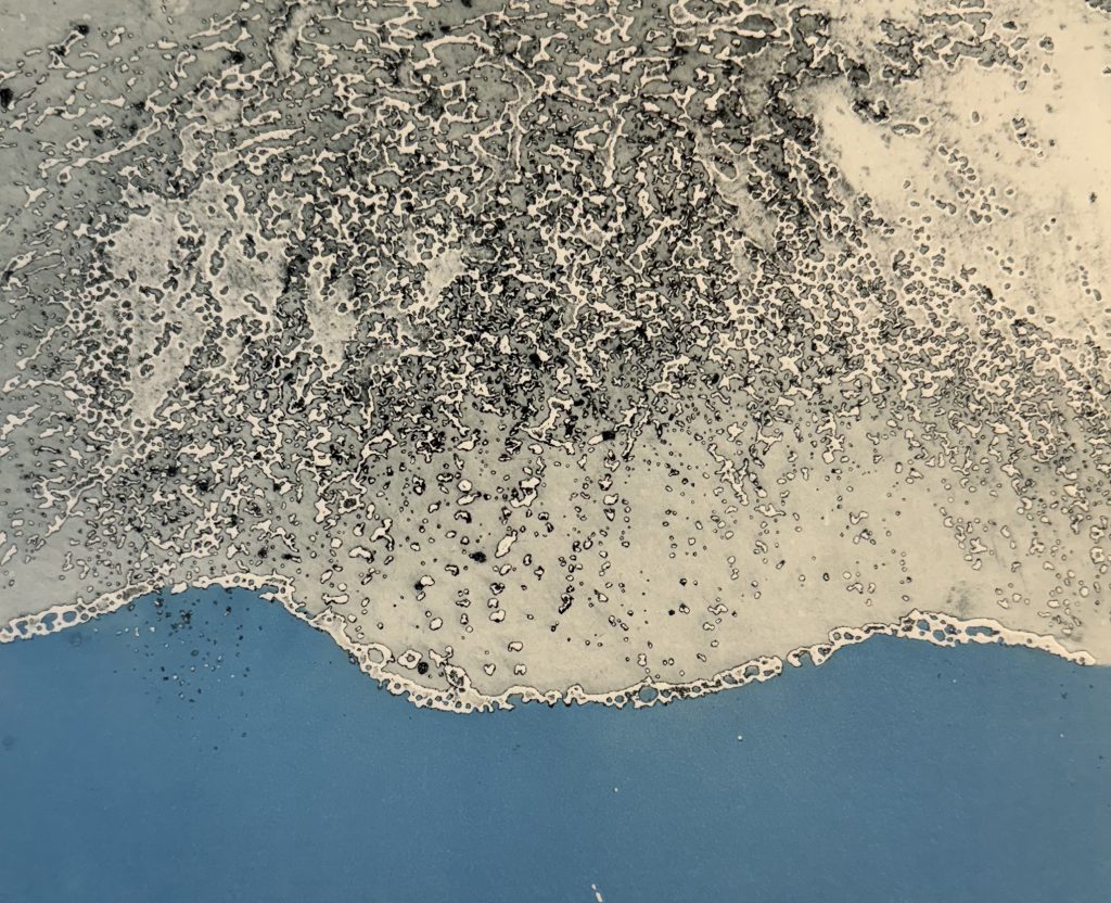 Fundy Tidal Pattern Series 4