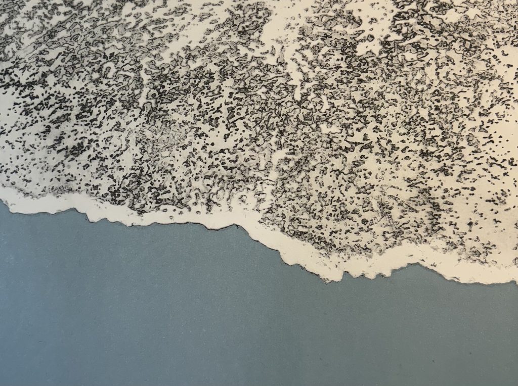 Fundy Tidal Series 5