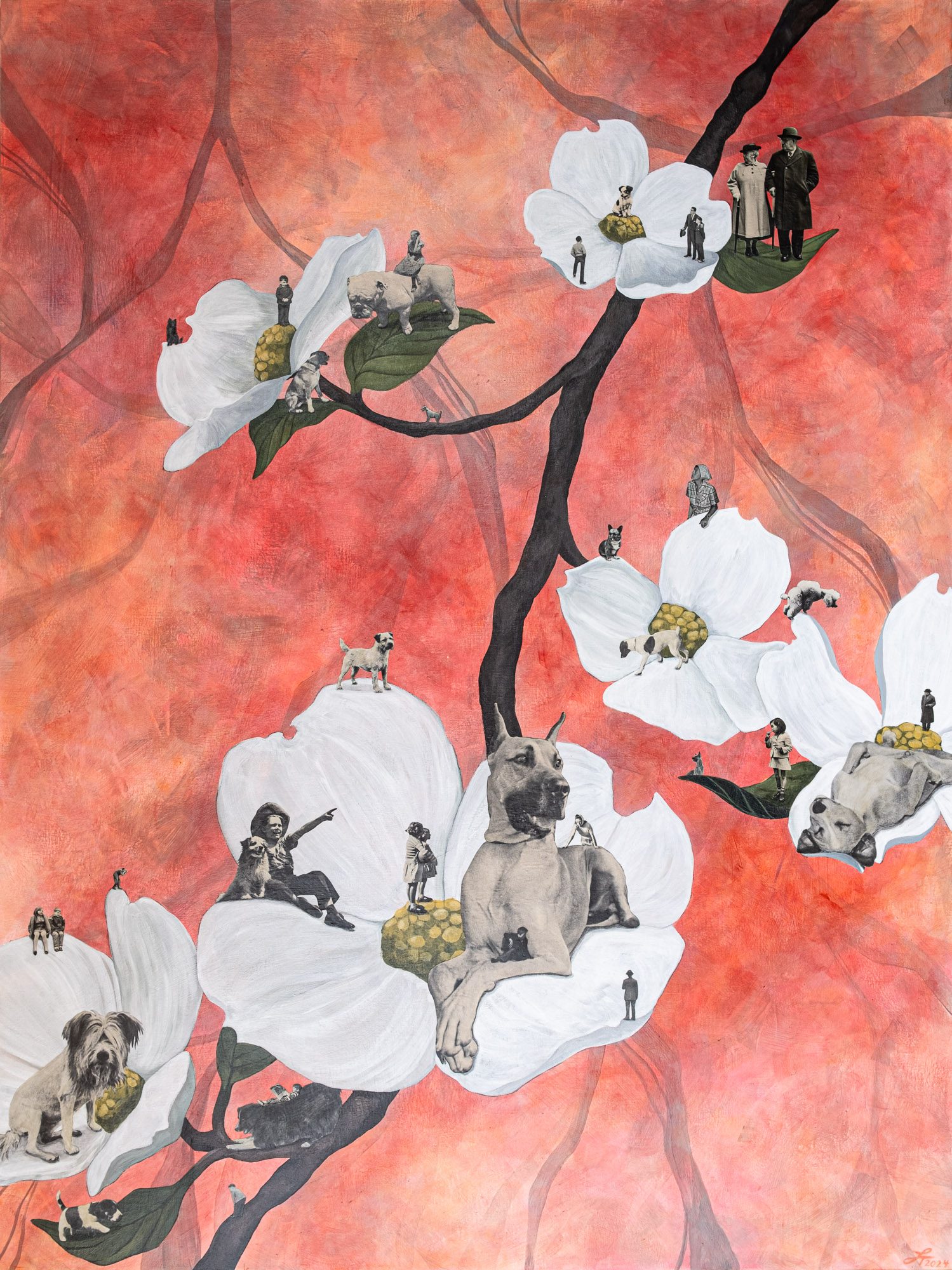 Dogwood