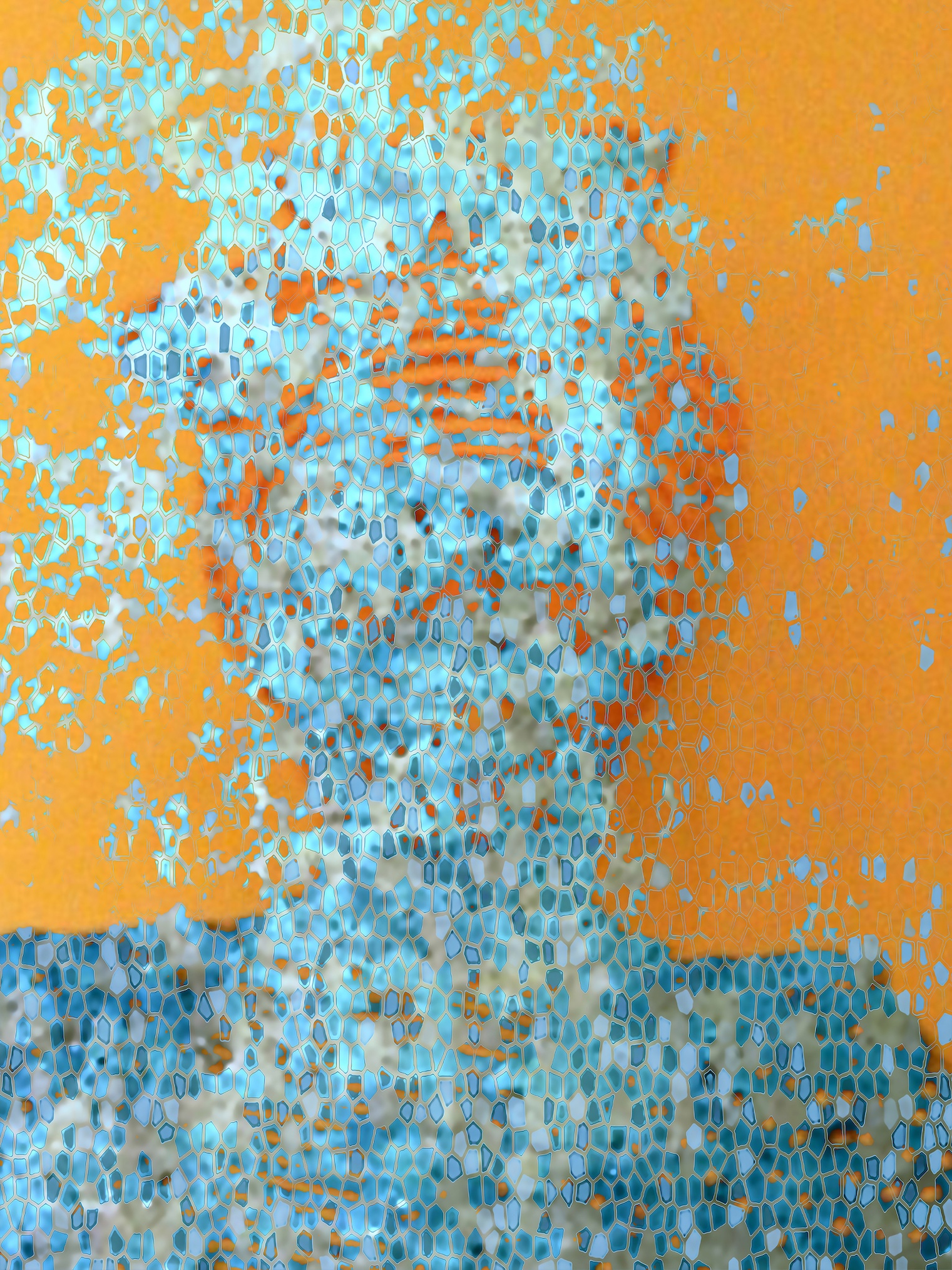 Mosaic Refuge