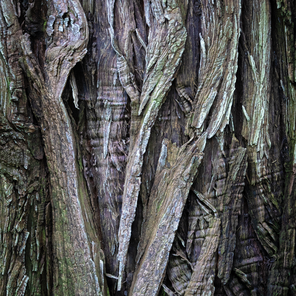 Treefolds