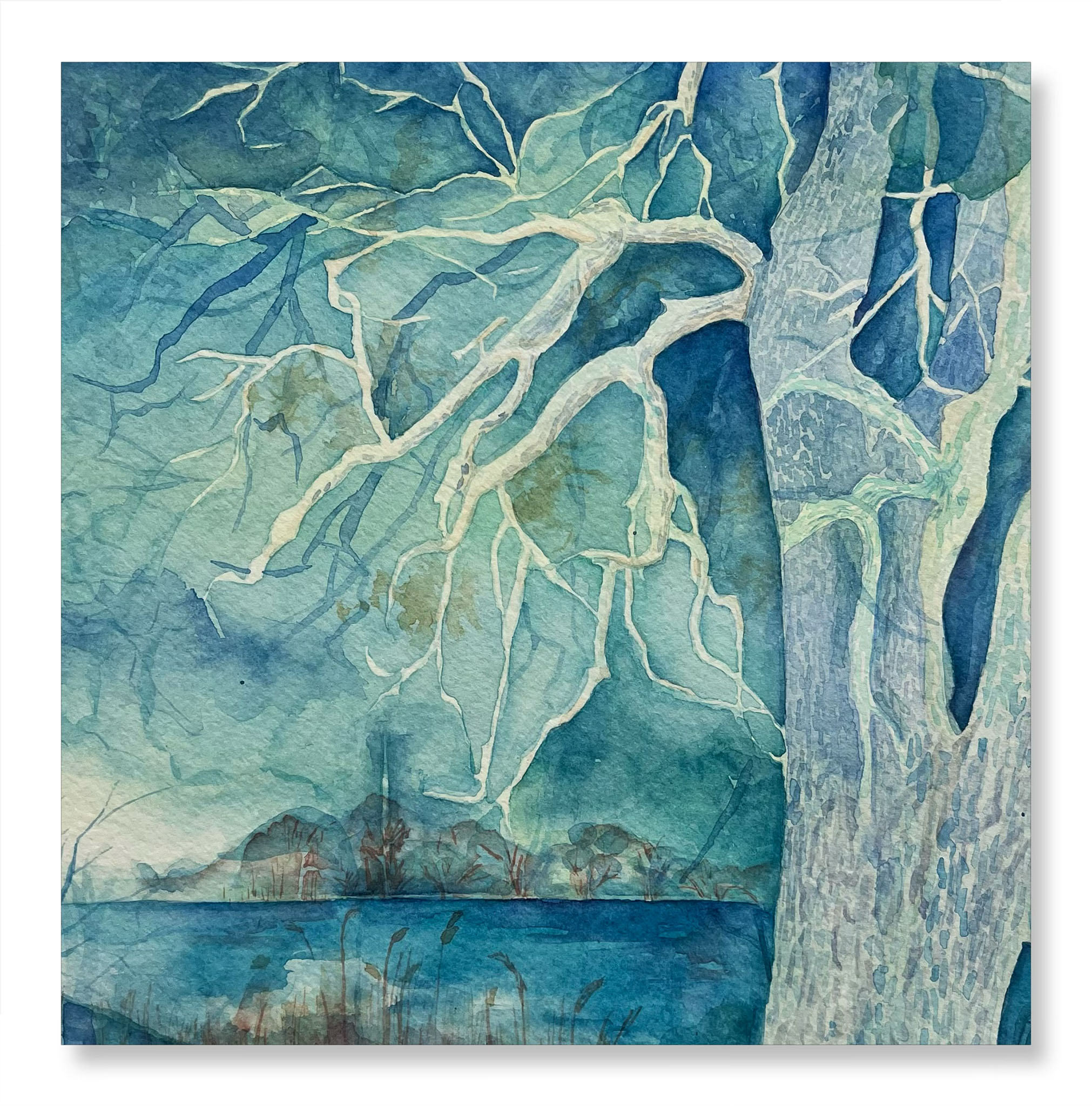 His tree No.2