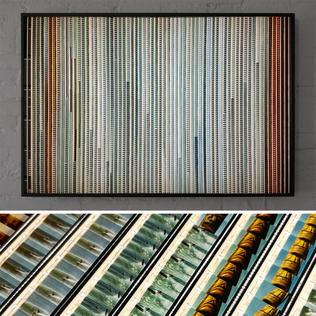 The Endless Summer 1965