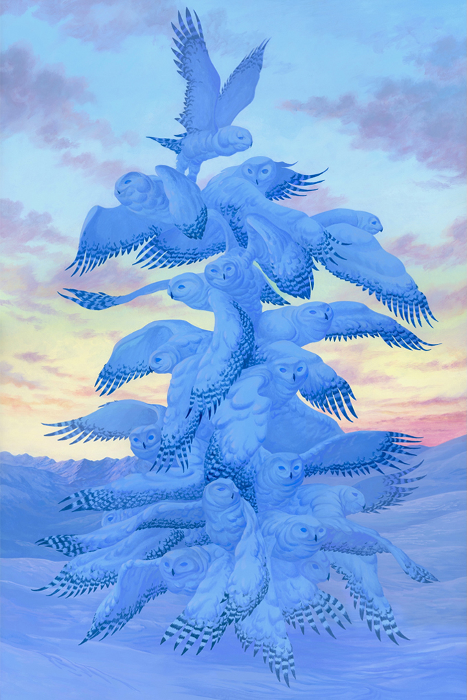 Snowy Spruce