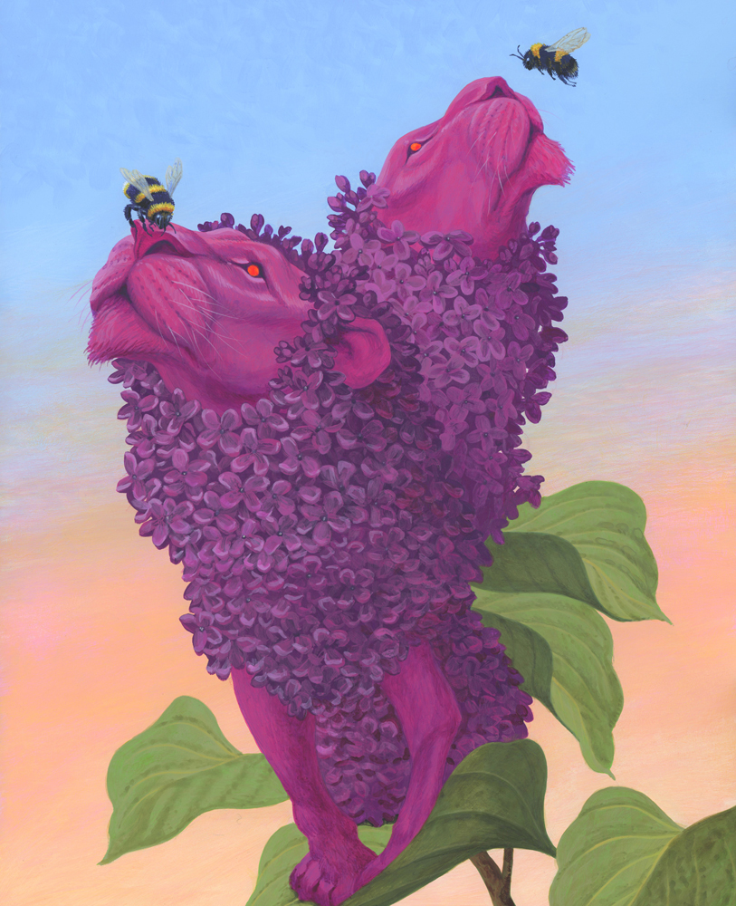 Lilac Lions