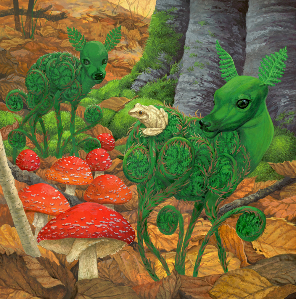 Fern Fawns