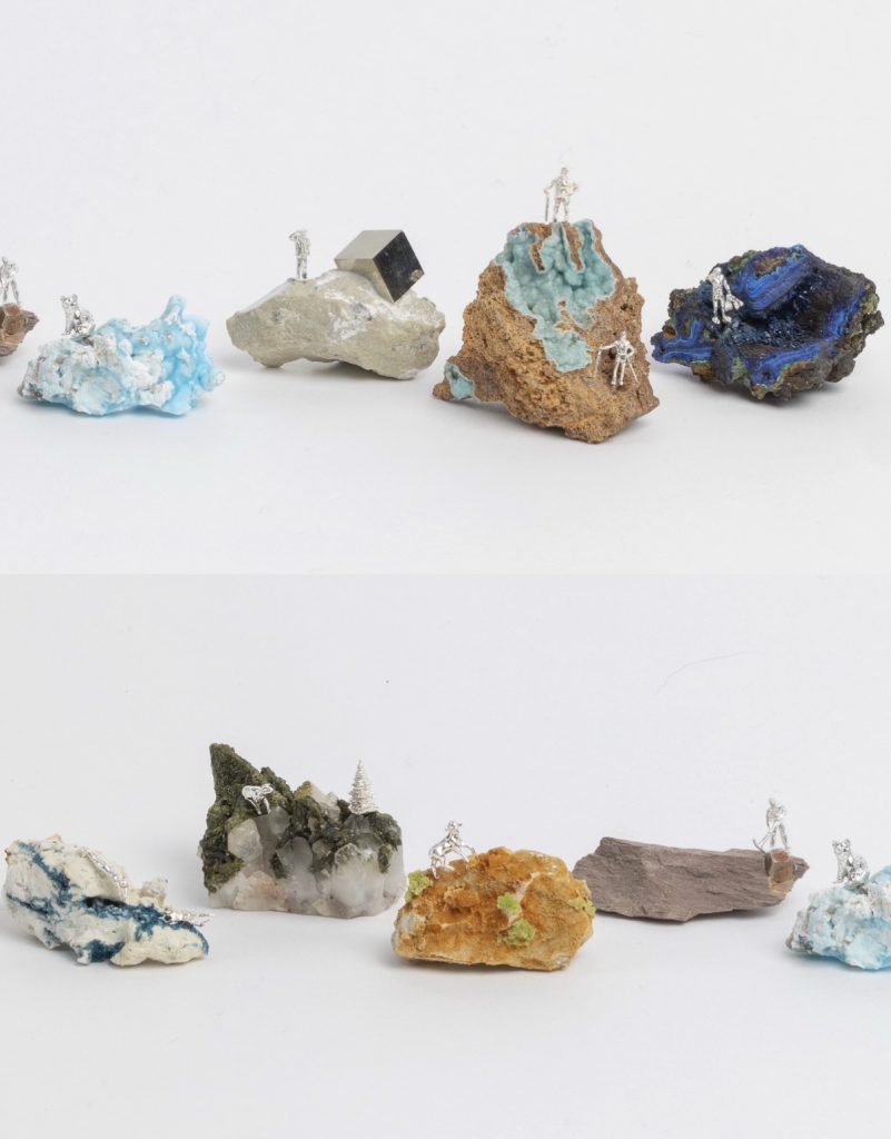 Nature's Tapestry: Stories in Stone