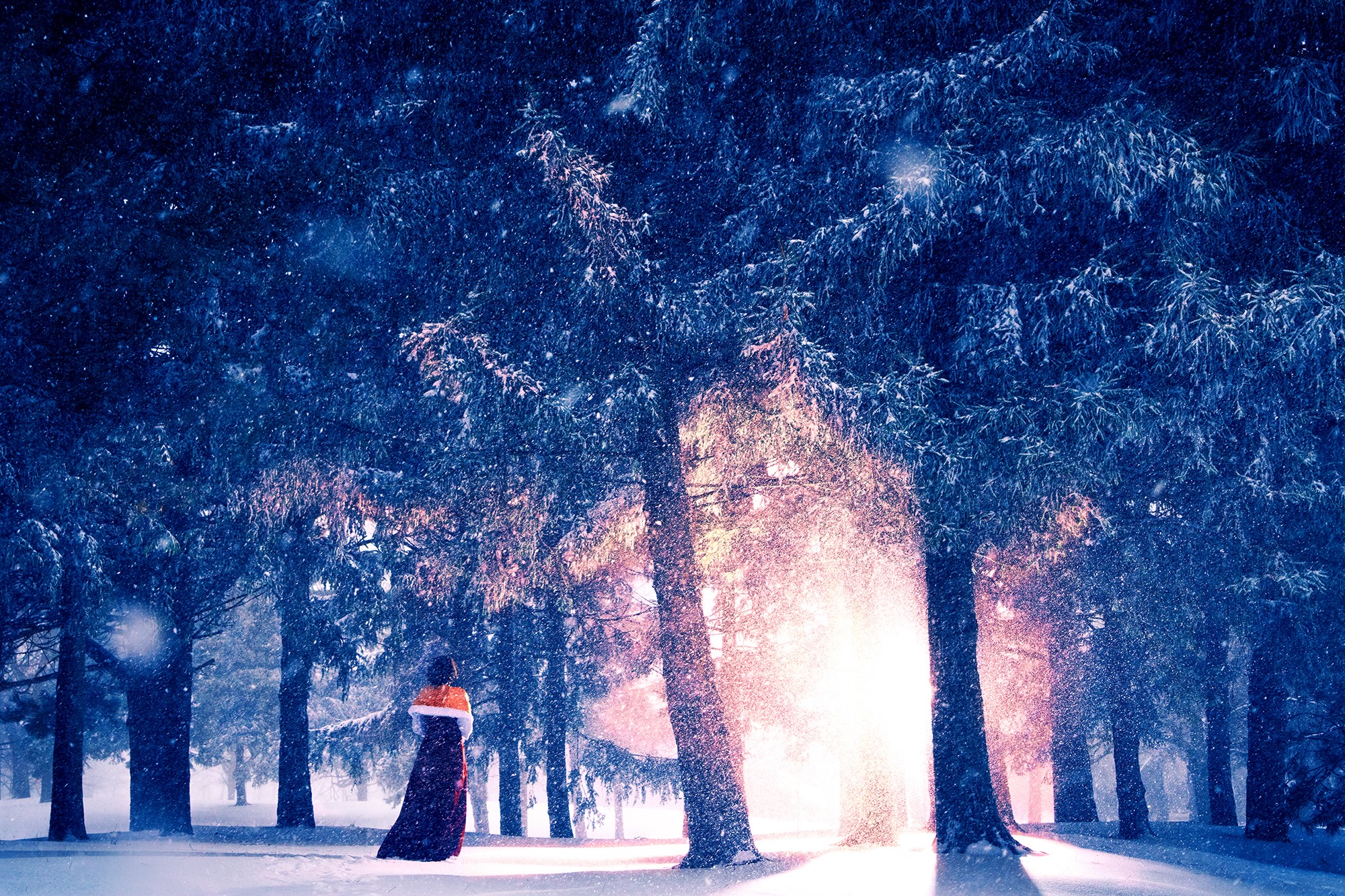 Warm Encounter