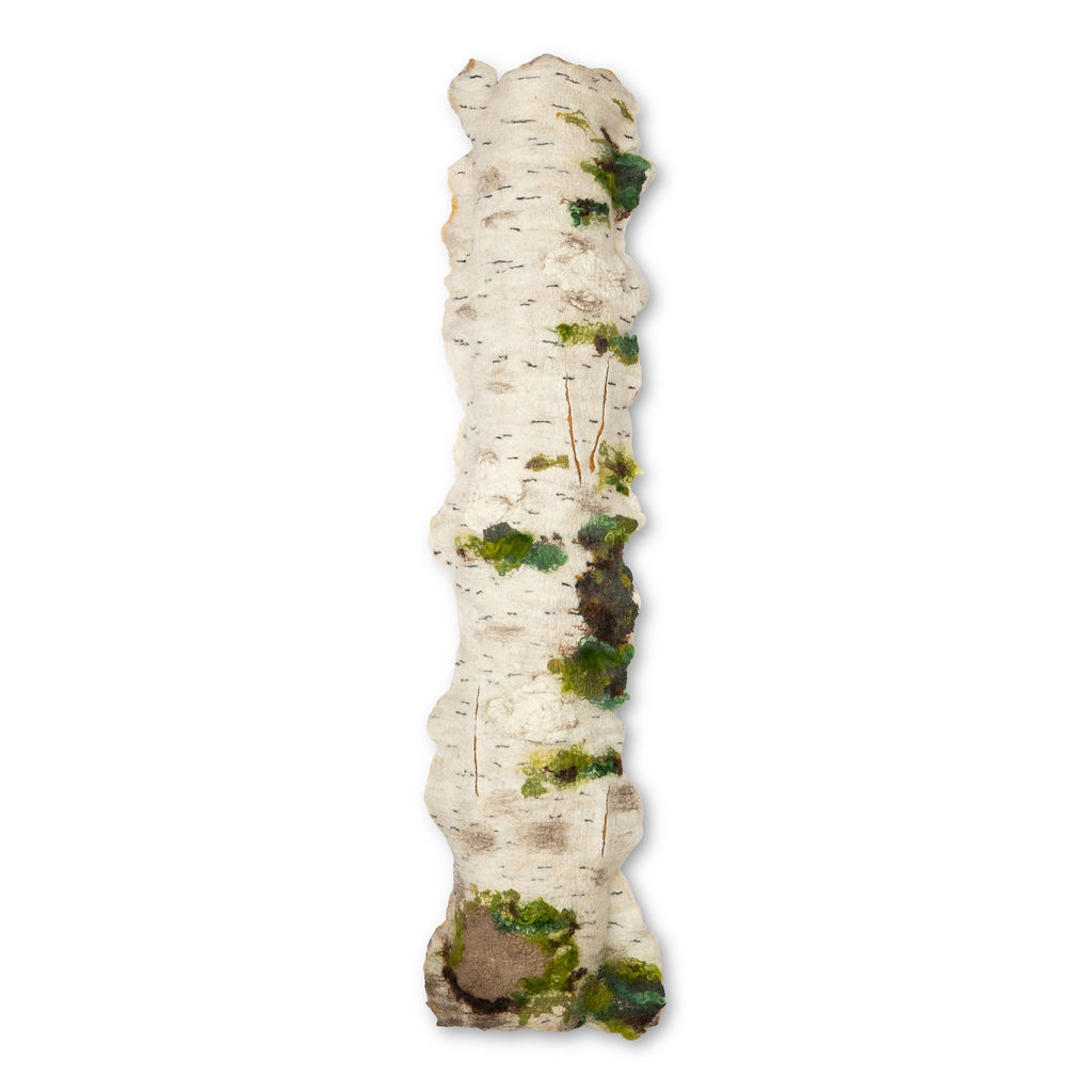 Moss and Memory