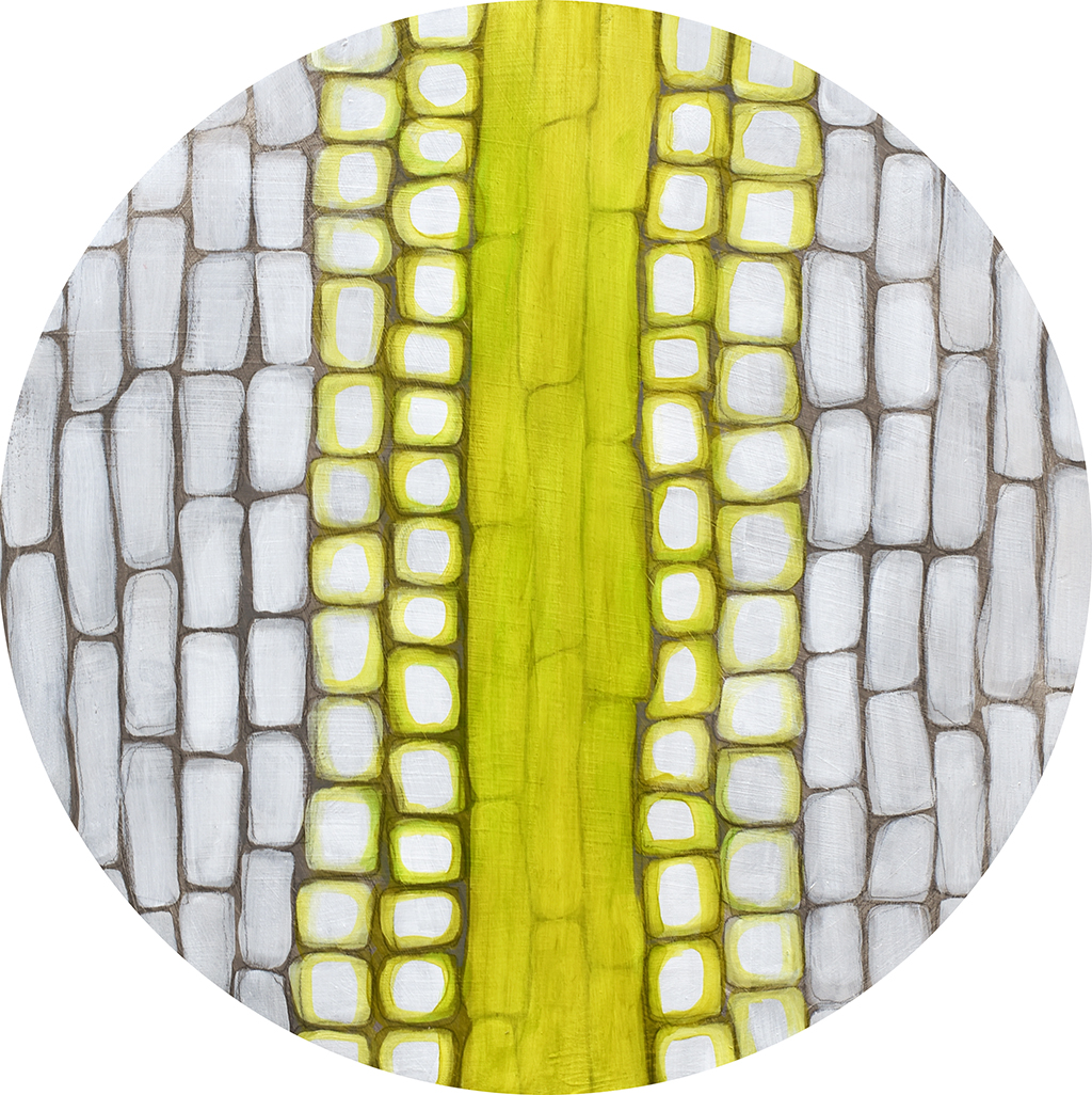 Leek Cells (magnified x200)