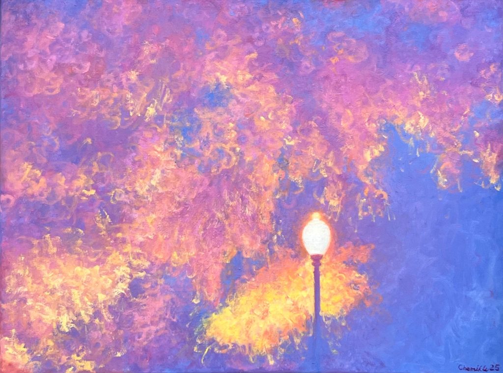 Park StreetLamp At Night