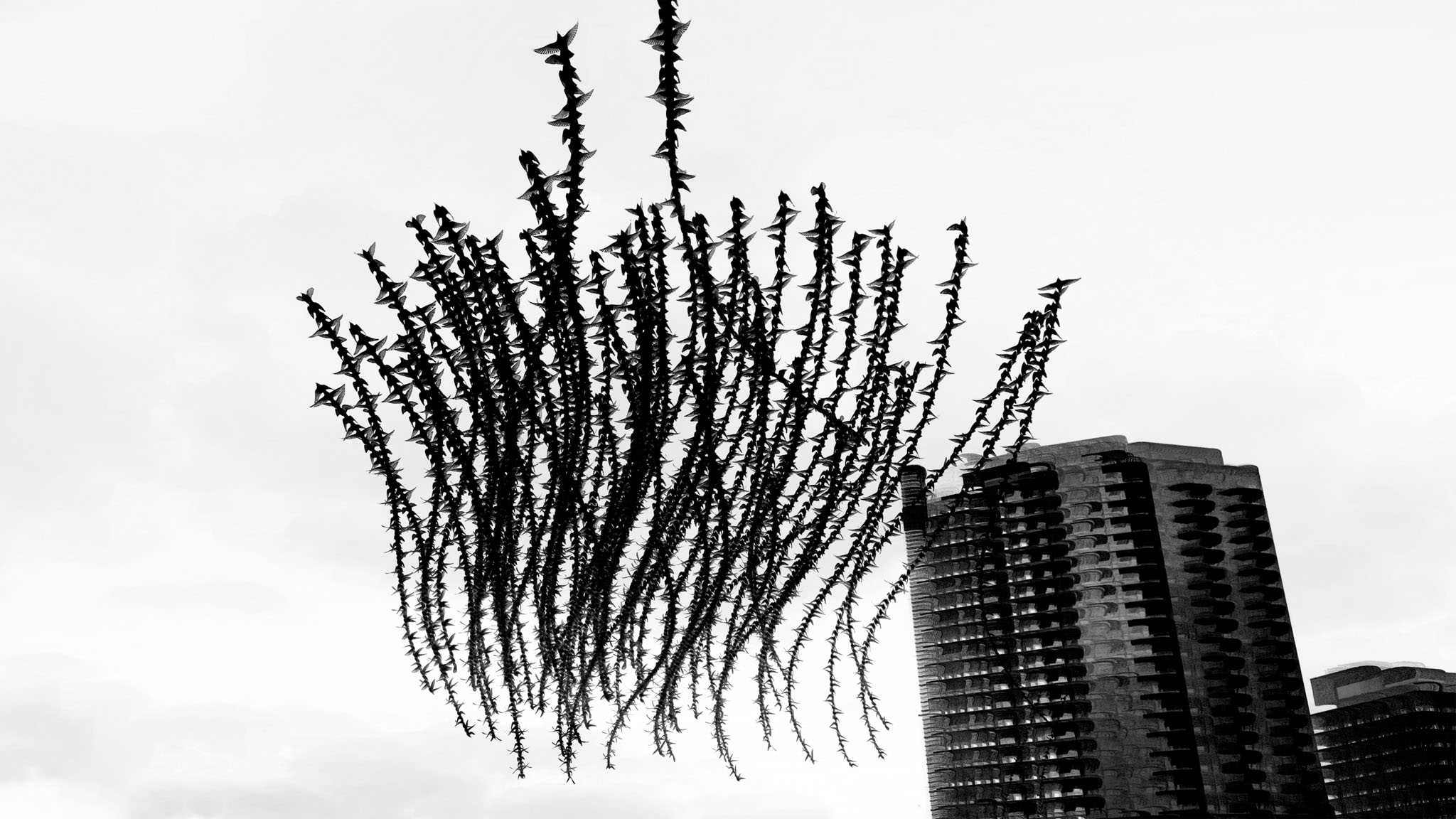 A Chorus in Air