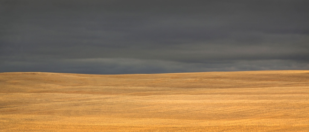 Northern Great Plains