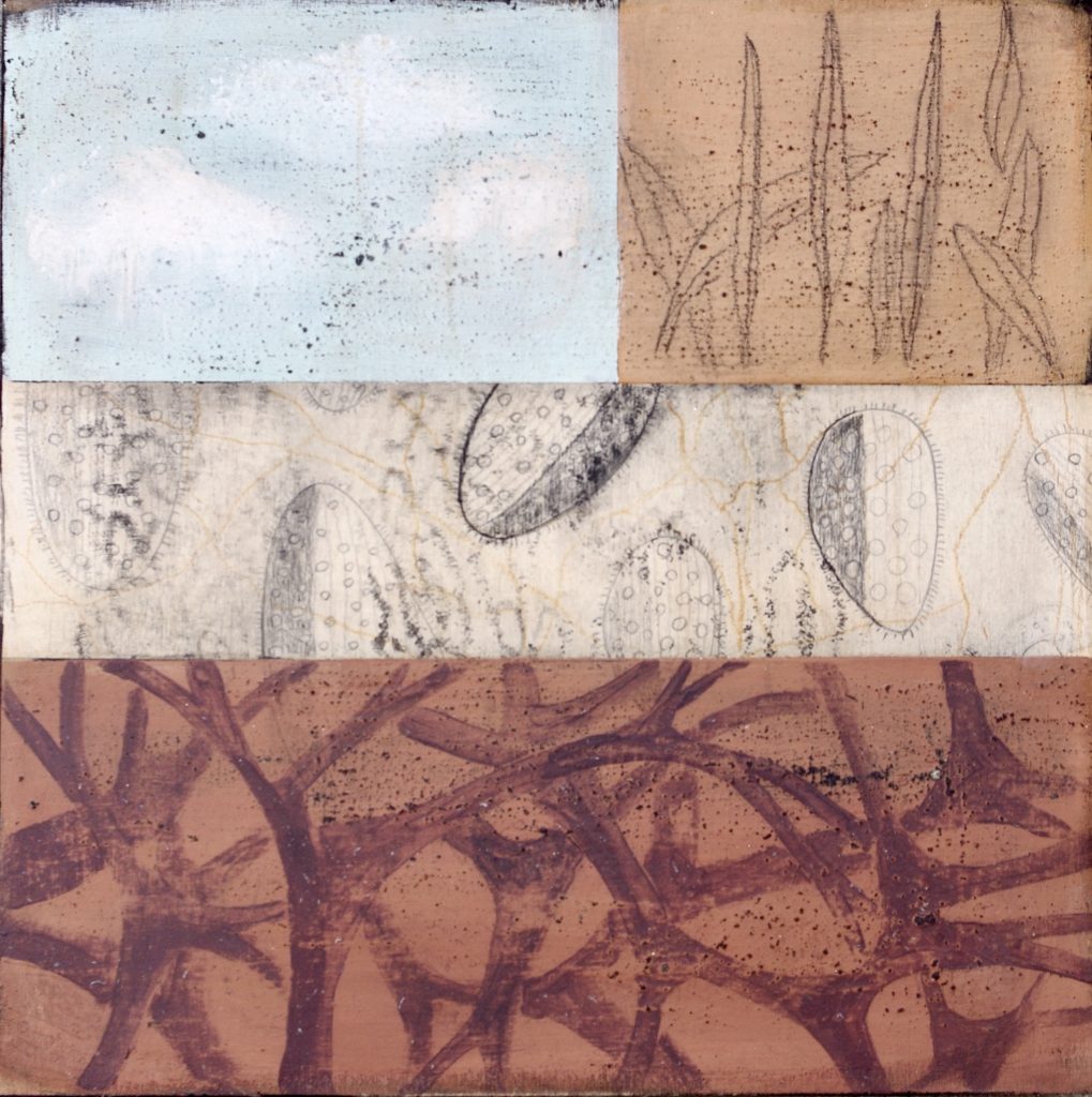 Connections/graine de vie