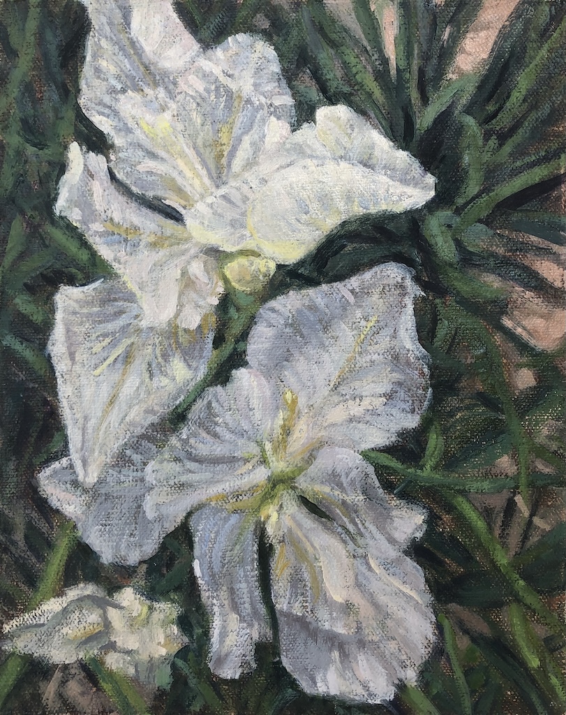 White Iris