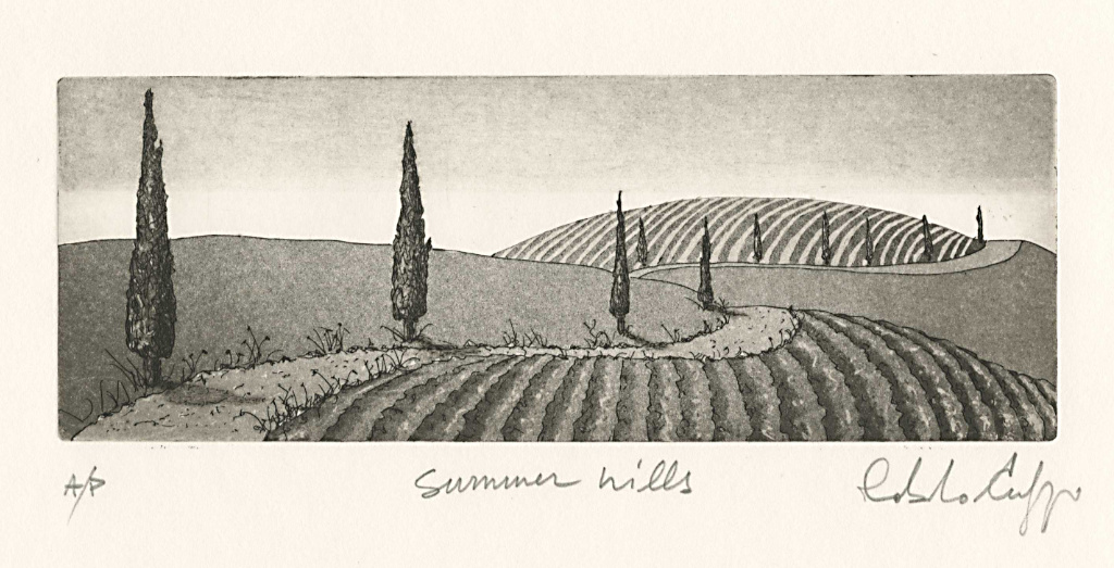 Summer hills