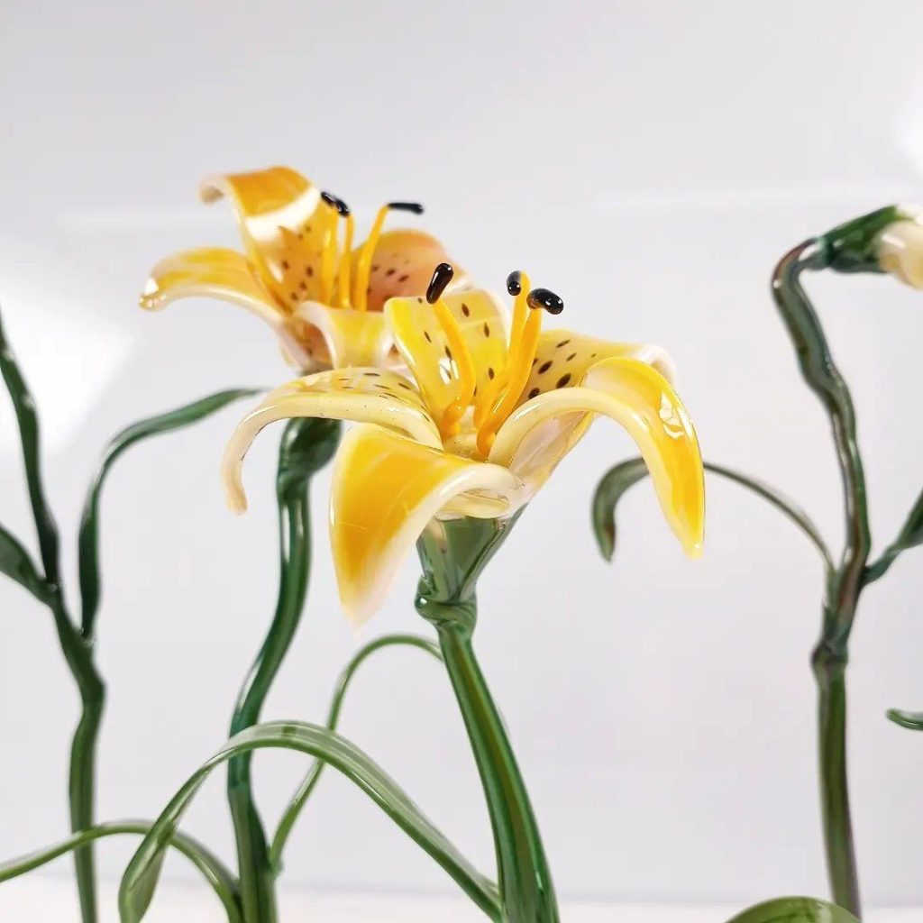 Yellow Lilies Life Cycle