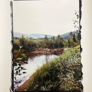 Photography &amp; Digital Media