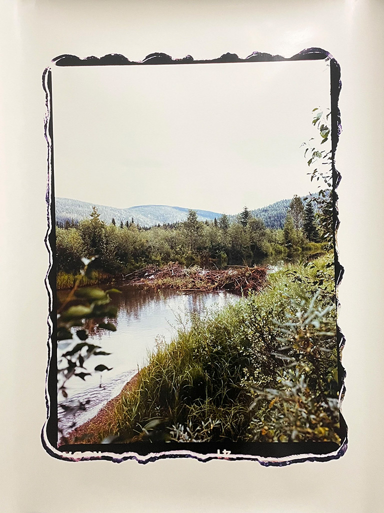 Beaver Dam on Poison River