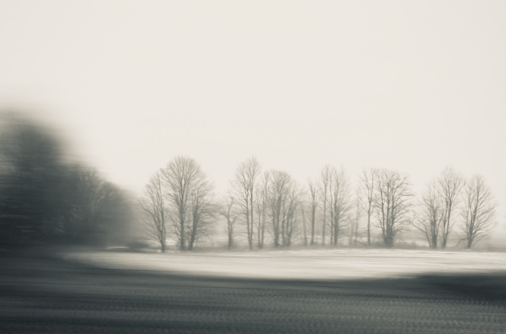 Cusp of Winter (#2 of 7)