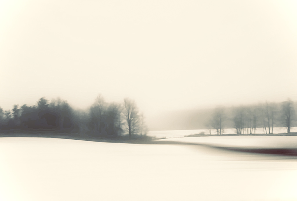 Follow Me (#2 of 7)