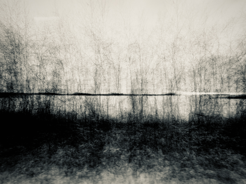 Revealed (#1 of 7)