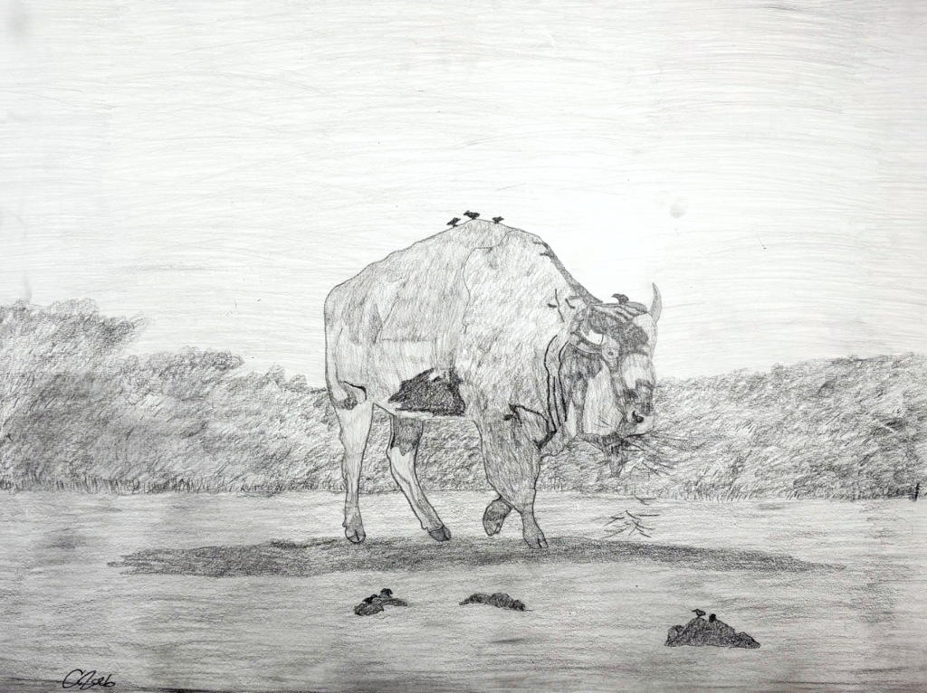 Buffalo The Land on Bird Stand - Tristan Holloway