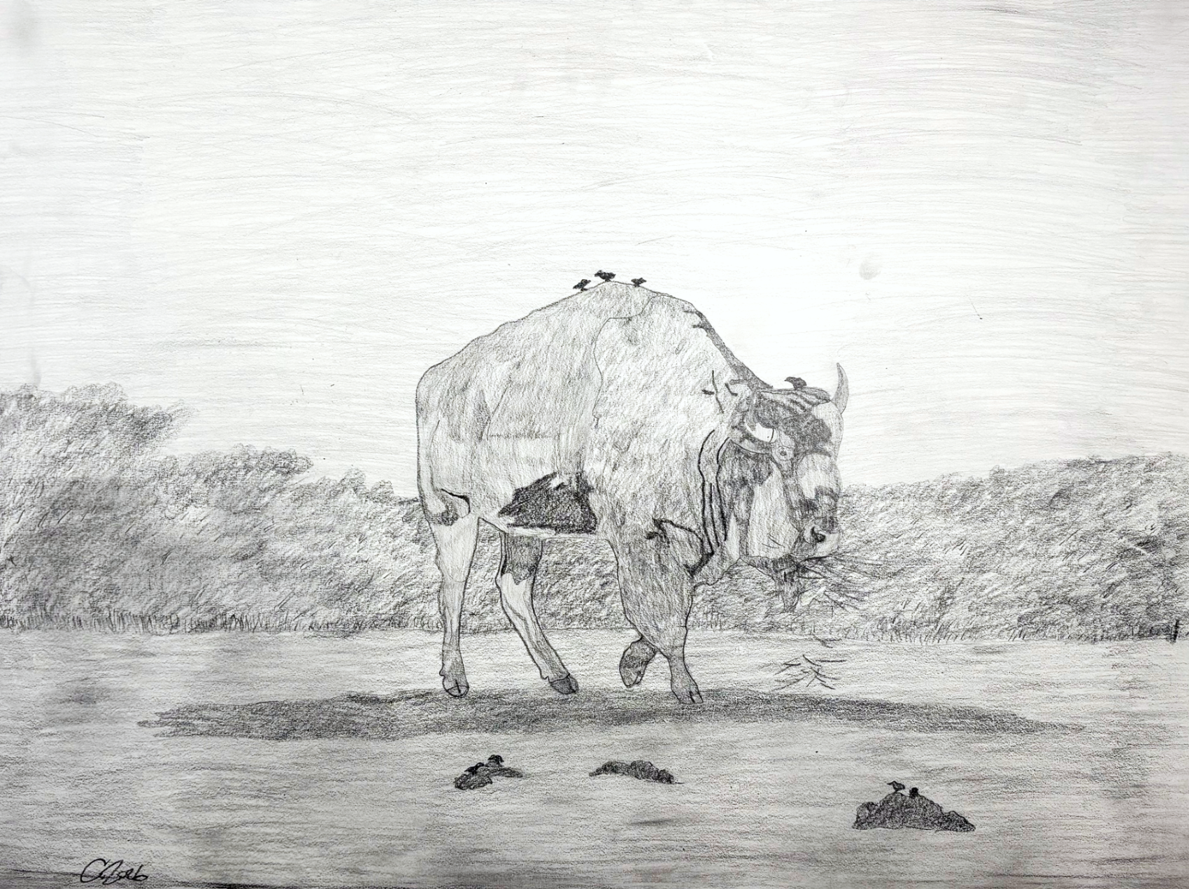 Buffalo The Land on Bird Stand - Tristan Holloway