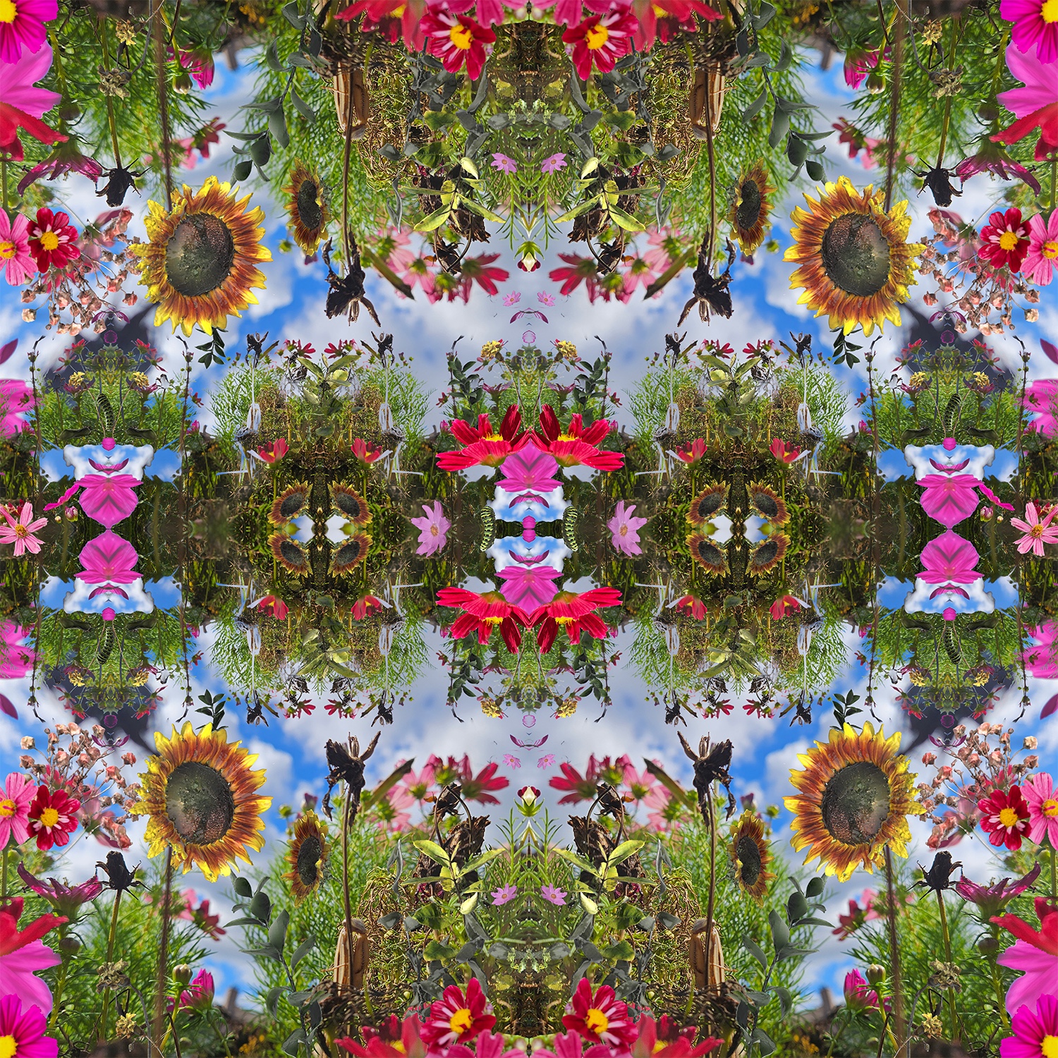A Digital collage of various natural elements arranged like a kaleidoscope. There are fields of pink cosmos and yellow sunflowers under a bright blue sky. 