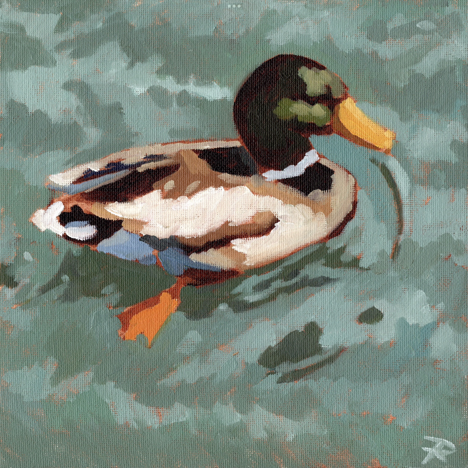 Ducking Around
