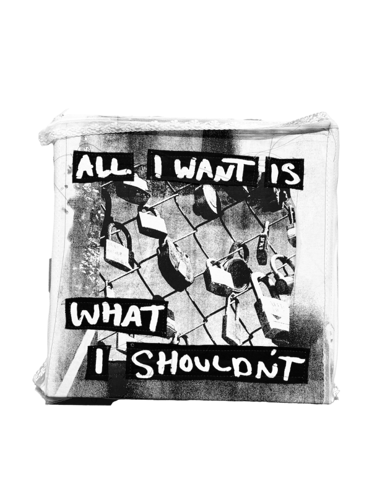 ALL I WANT IS WHAT I SHOULDNT