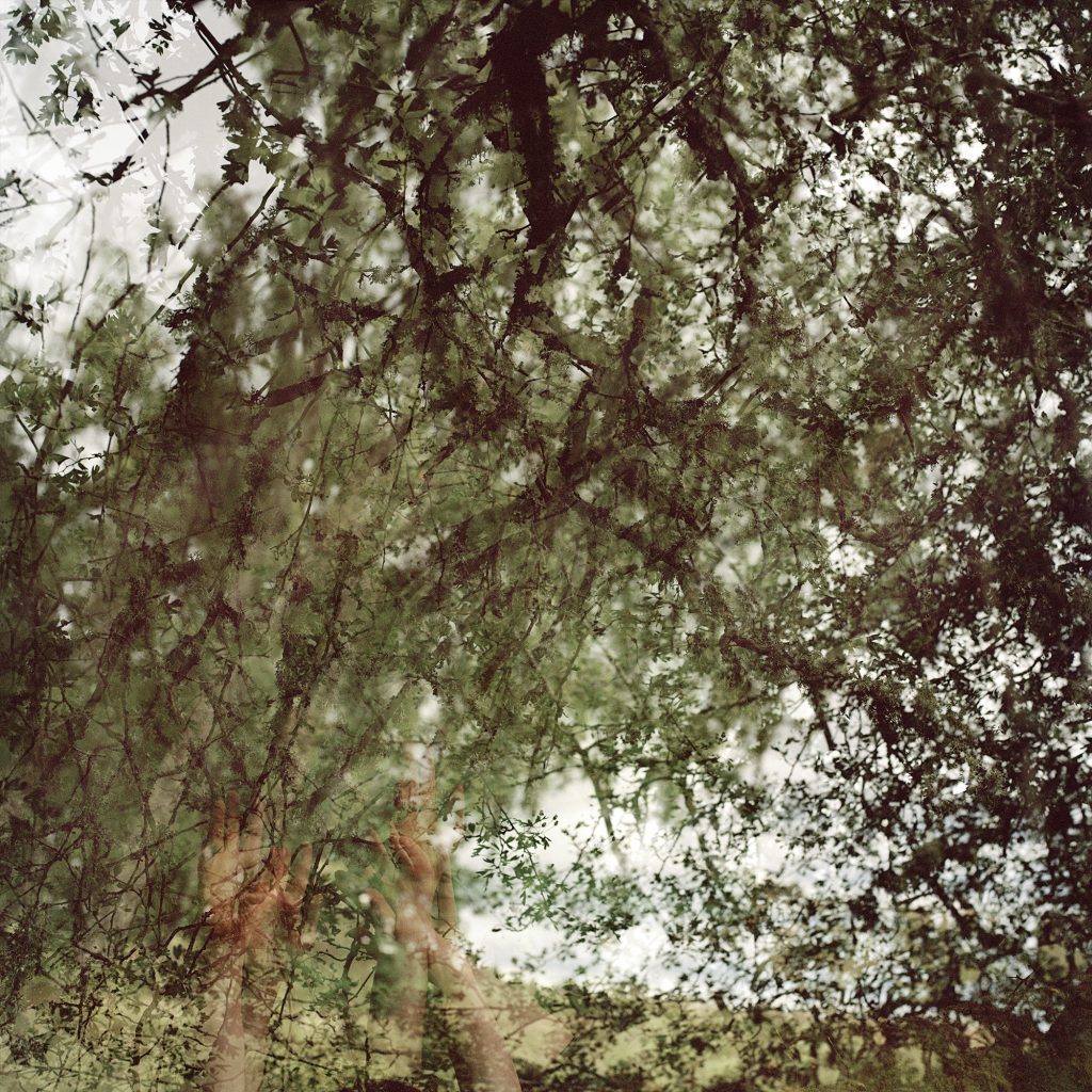 Grasping at Haws
