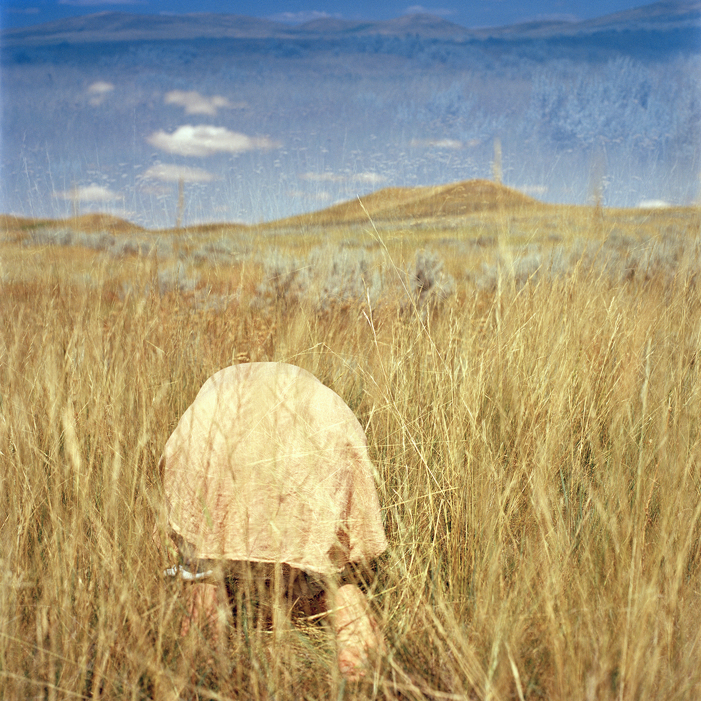 A solitary figure bends forward in a field of tall, dry grass. The landscape stretches toward distant rolling hills under a clear blue sky with a few clouds, creating a quiet pastoral scene.