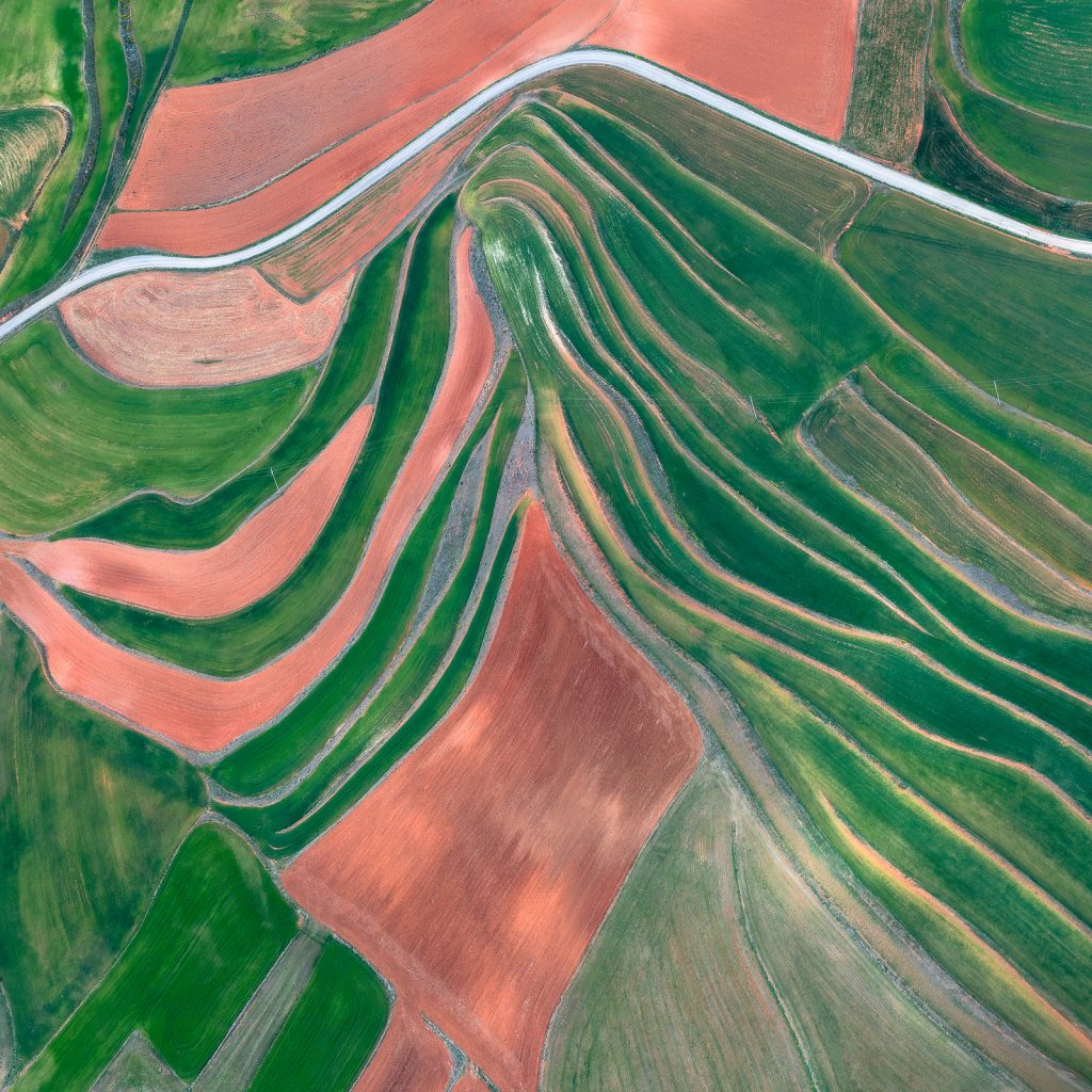 Fallow Fields (Seasons, Spring)