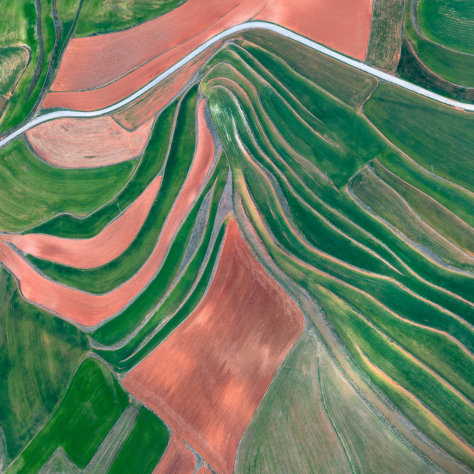 Fallow Fields (Seasons, Spring)