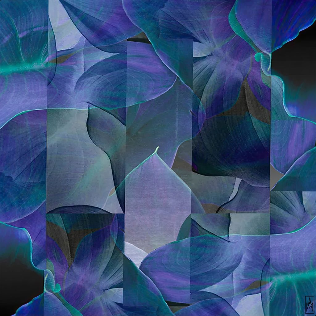 BLUE LEAVES