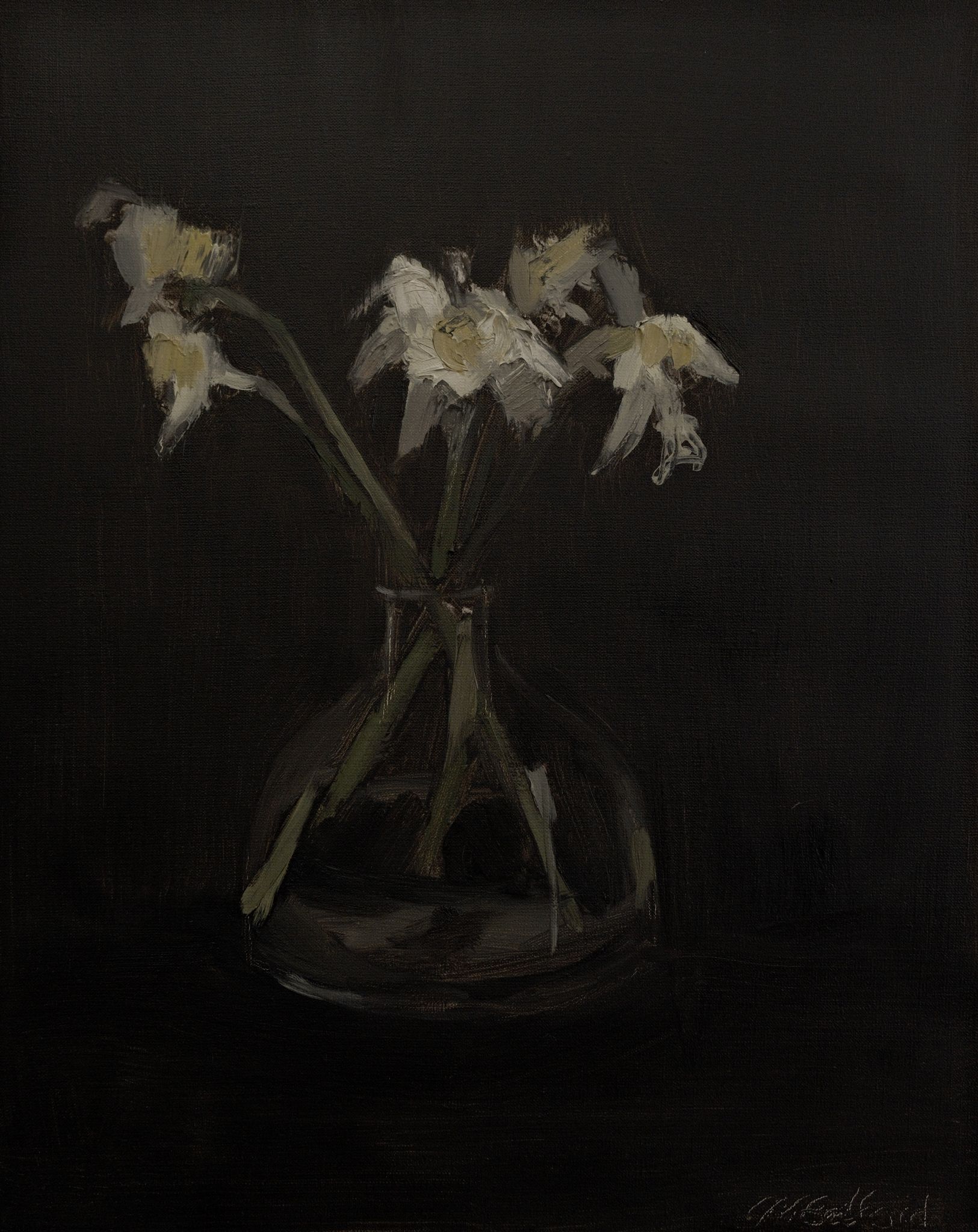 Daffodils For My Lover