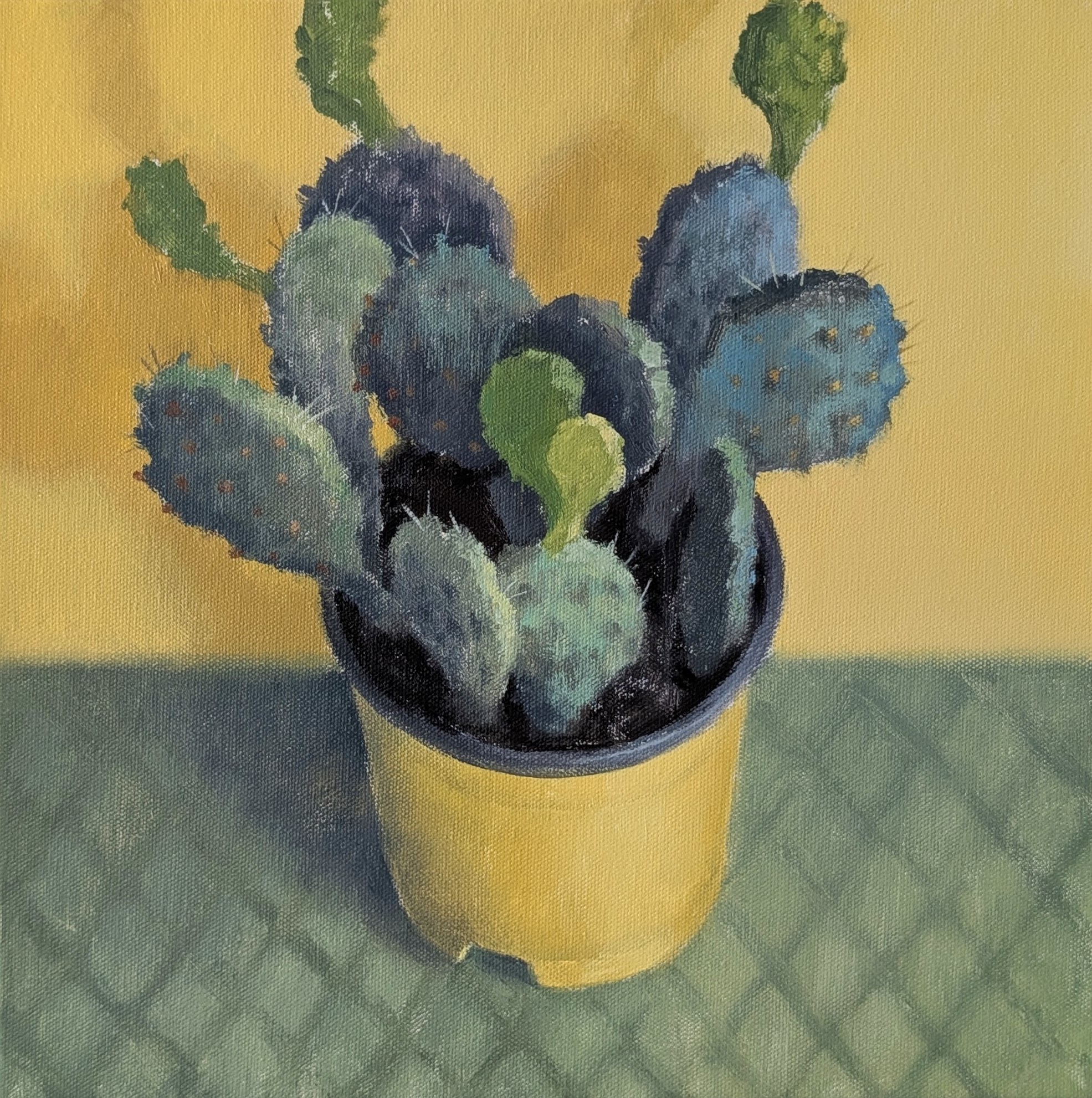Cactus in a Yellow Pot
