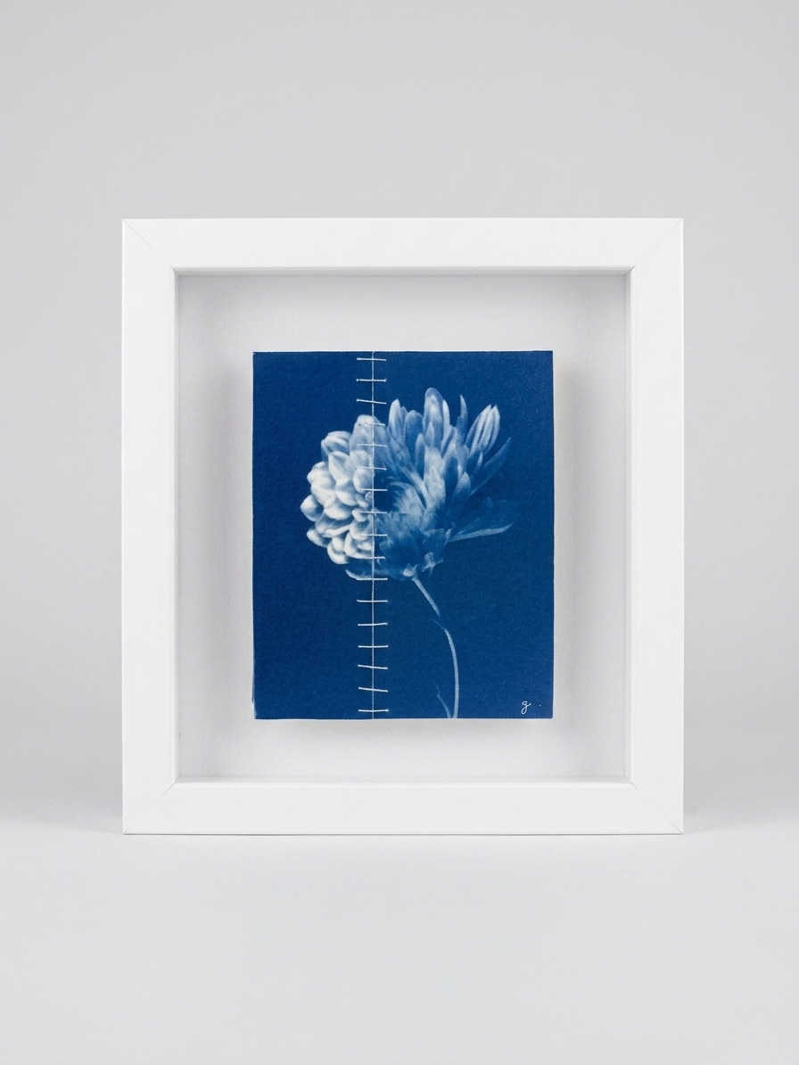 Ensemble, Dahlia X Chrysanthème