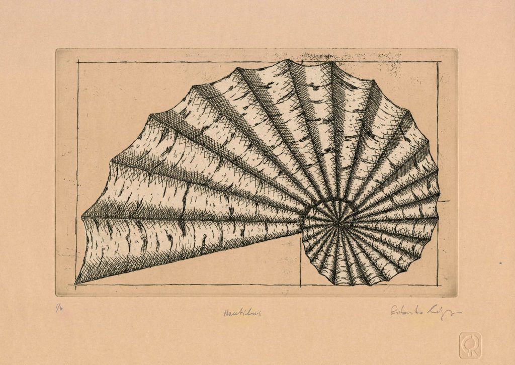 Nautilus