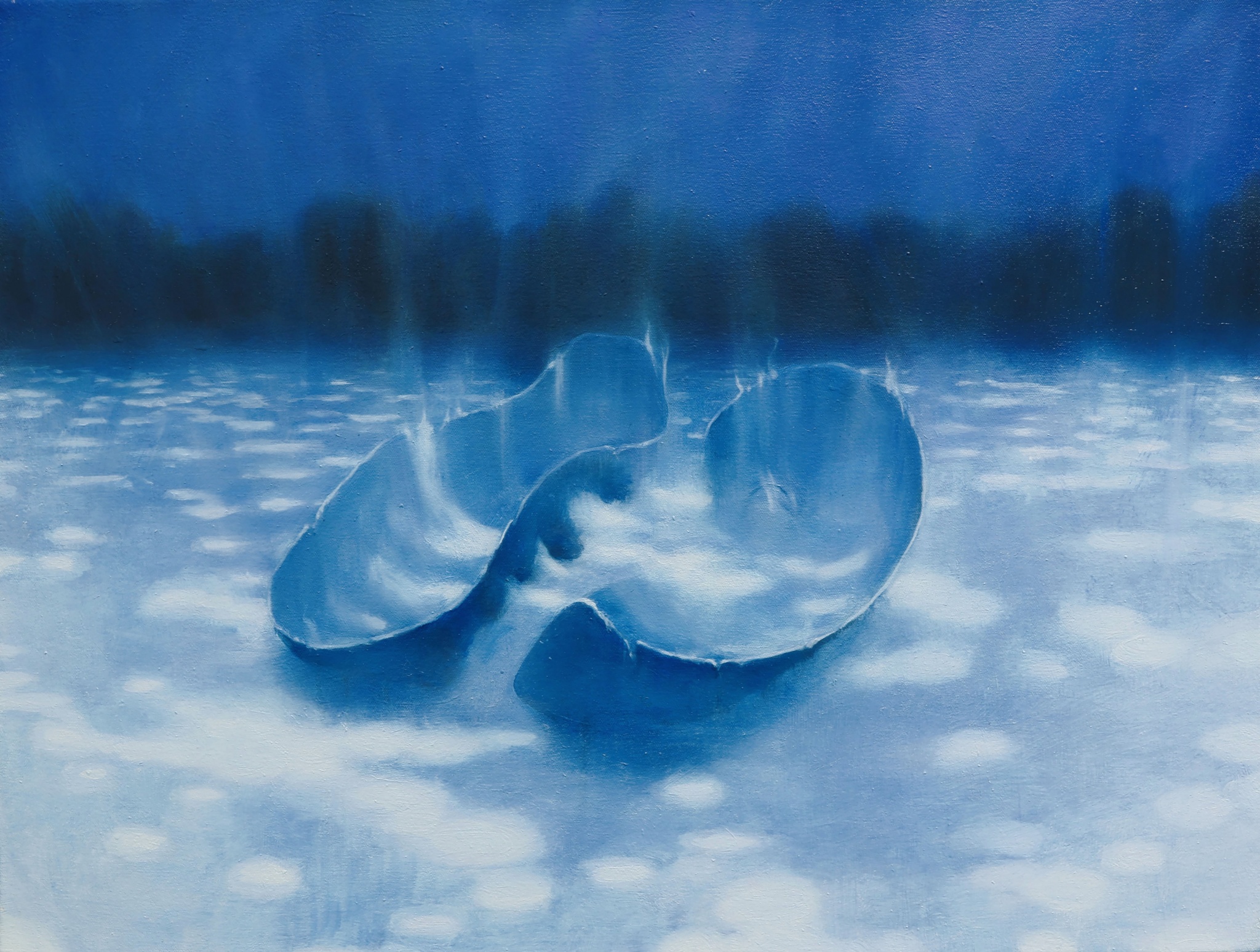 Spotlight on Emily Carr University of Art + Design