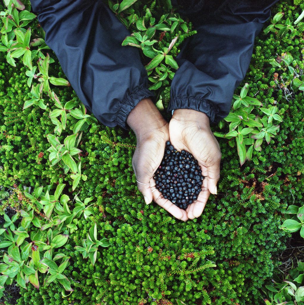 Crowberries