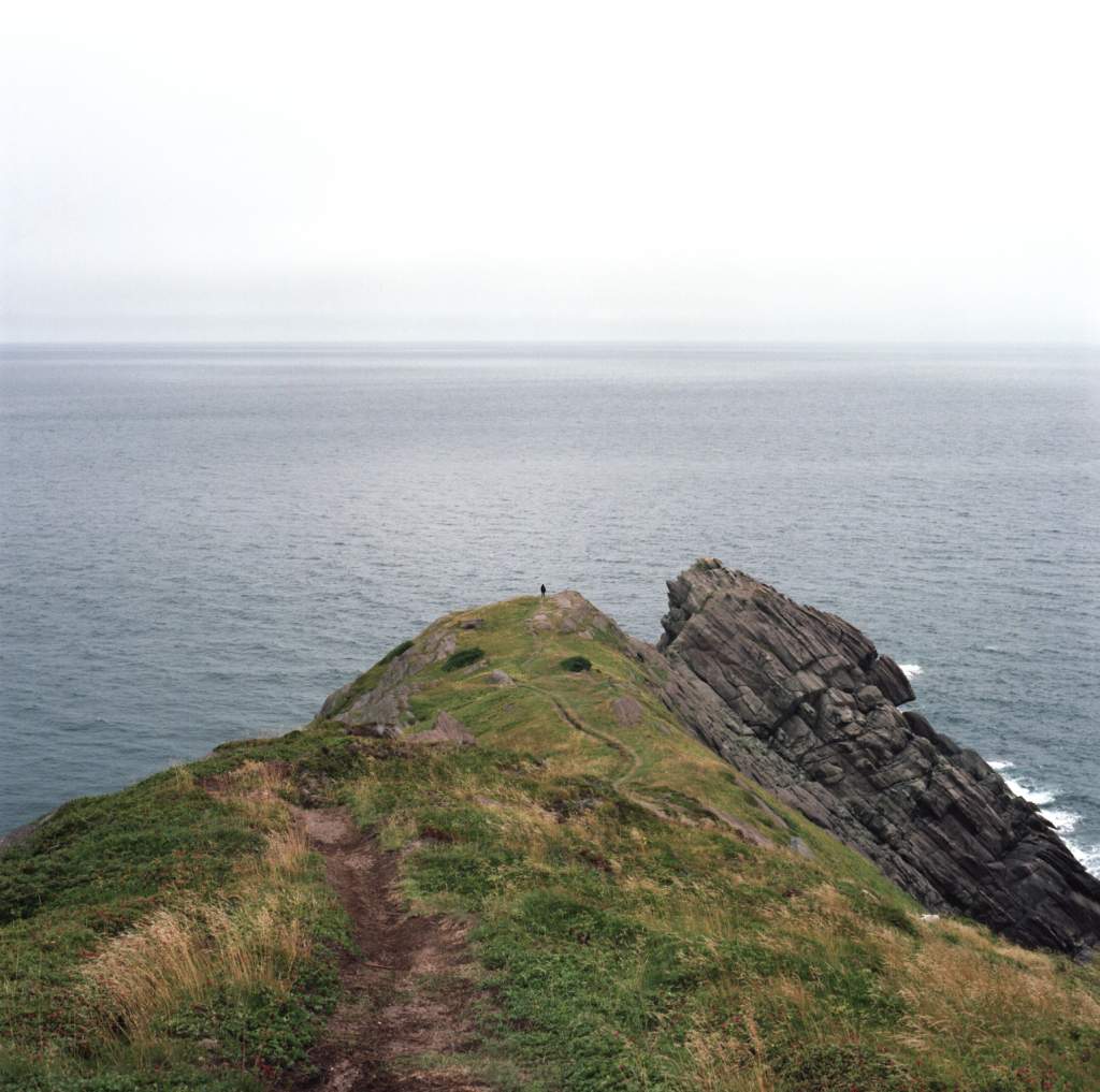 Torbay Point