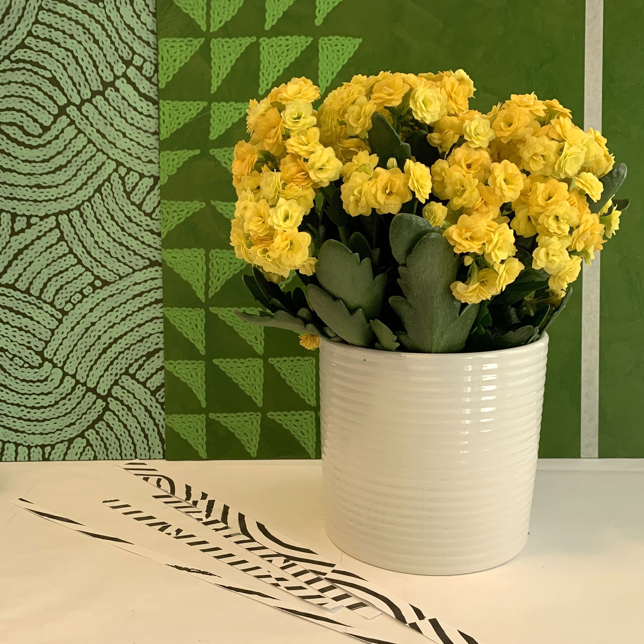 A large-scale painting composed of acrylic painted panels, cut and assembled.  Imagery includes geometric and botanical patterns executed in a signature cozy style.  Modular sections can be assembled in different configurations depending on the space.  The entire painting contains 30' linear feet of painted pattern.  The painting addresses our emotional response to green (subdued when compared to the dopamine rush of red).  What does this say about our care for the living greenery of the world?