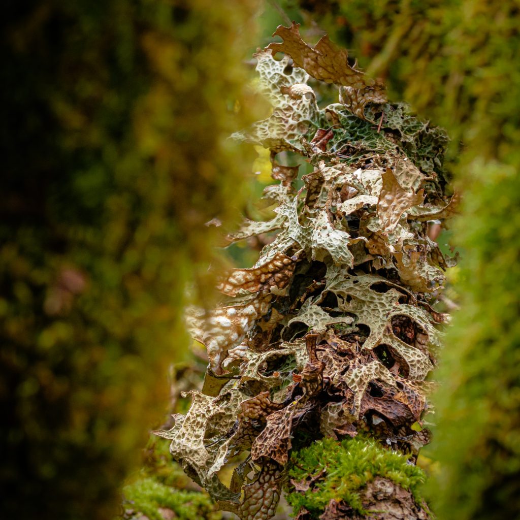 Decomposition